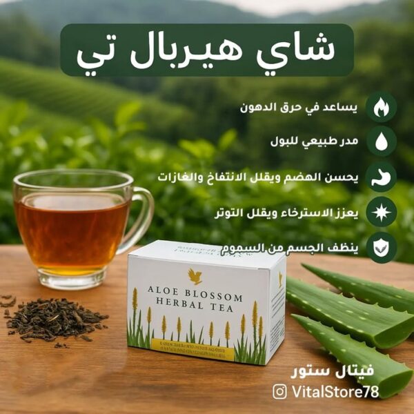 شاي هيربال تي