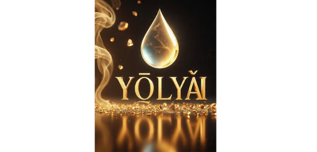 YOLYO STORE
